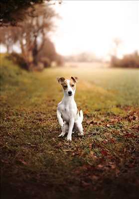photo n°89 - shooting photo - Pascaline à Le grand-quevilly