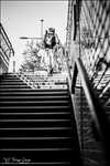 Shooting photo à Boulogne billancourt dont l'auteur est : Philippe