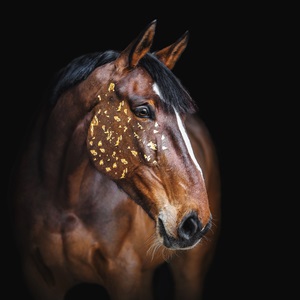 Photographe Carla à Fréjus pour vos shootings photos