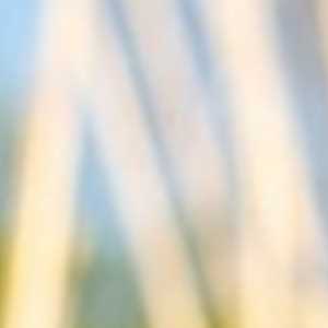 Photographe Michel à Thonon-les-bains